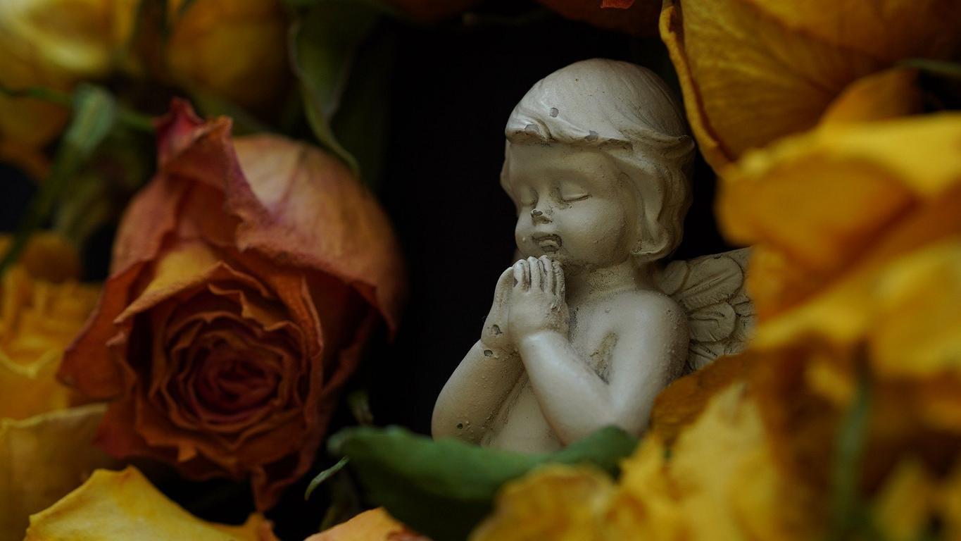 Stella – Mahnmal für den Frieden
